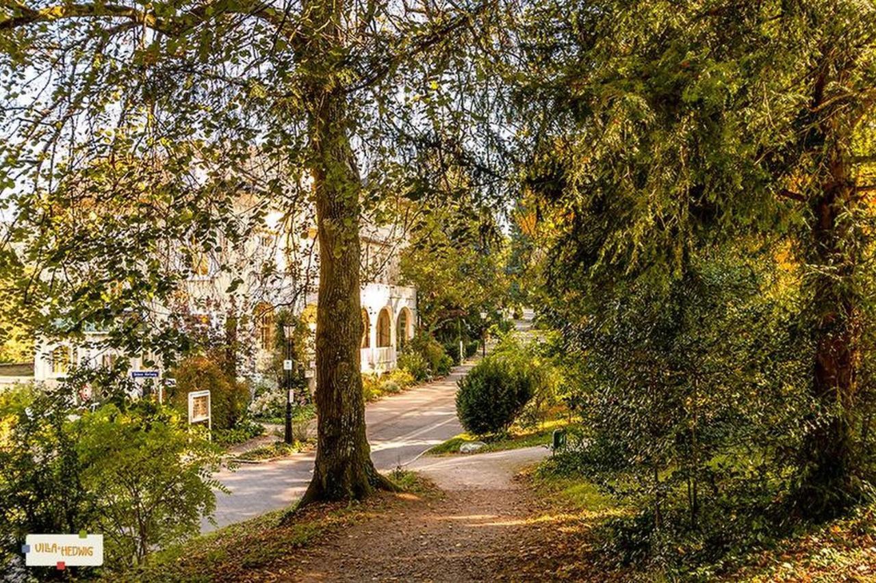 Villa Hedwig Баденвайлер Екстериор снимка