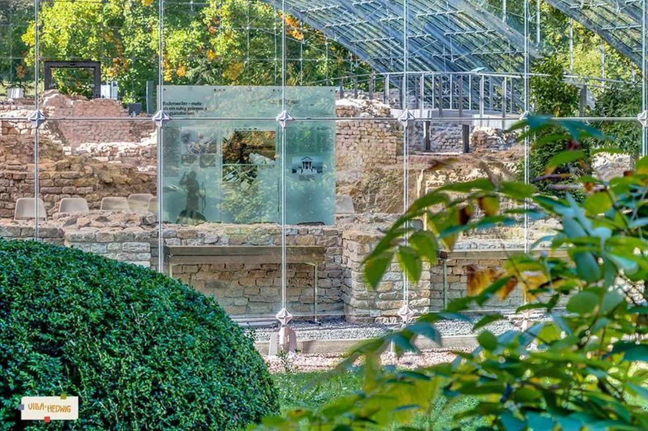Villa Hedwig Баденвайлер Екстериор снимка